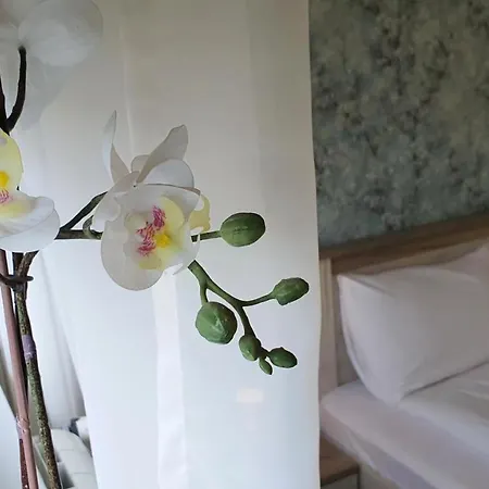 Spring Apartment Cacak