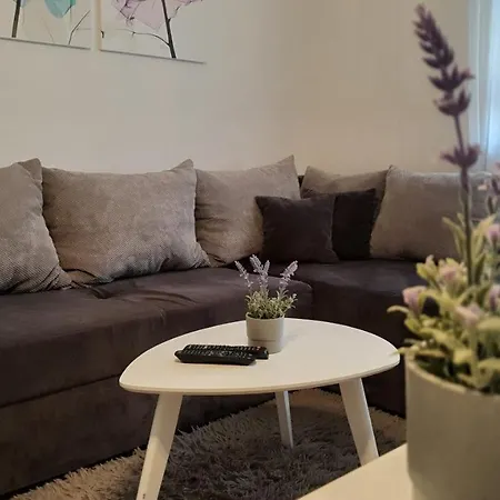 Apartment Spring *