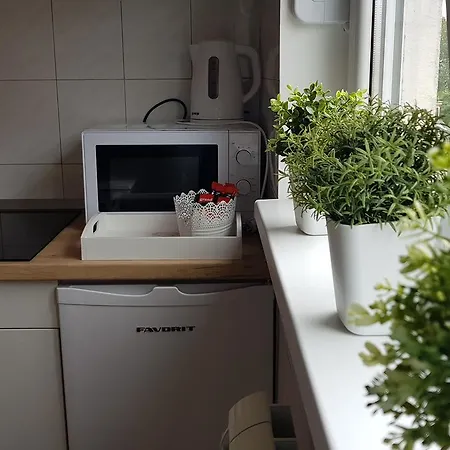 Apartment Spring Cacak