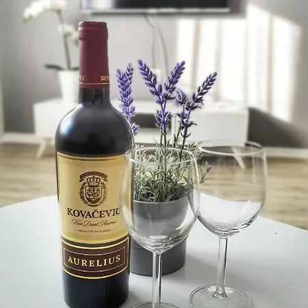 Spring Apartment Cacak