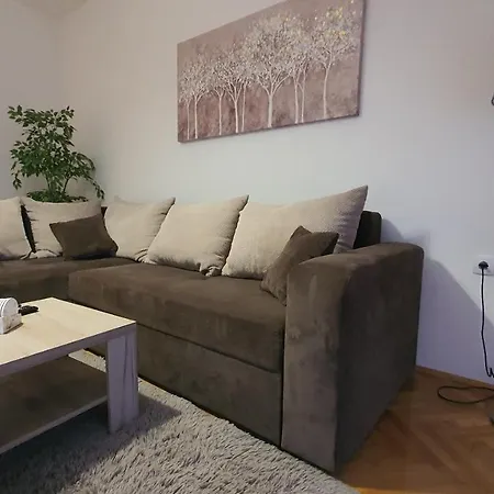 Apartment Spring Cacak
