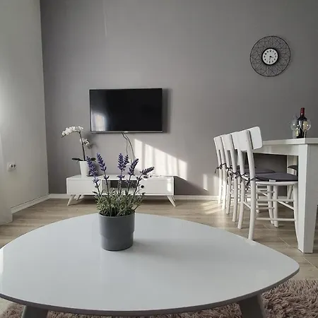 Spring Apartment Cacak
